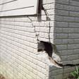 foundation walls cracked due to settlement in Saint Albans